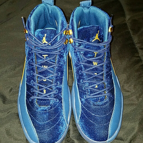 Jordan Other - Air Jordan Retro 12 SE Steph Curry Player Edition